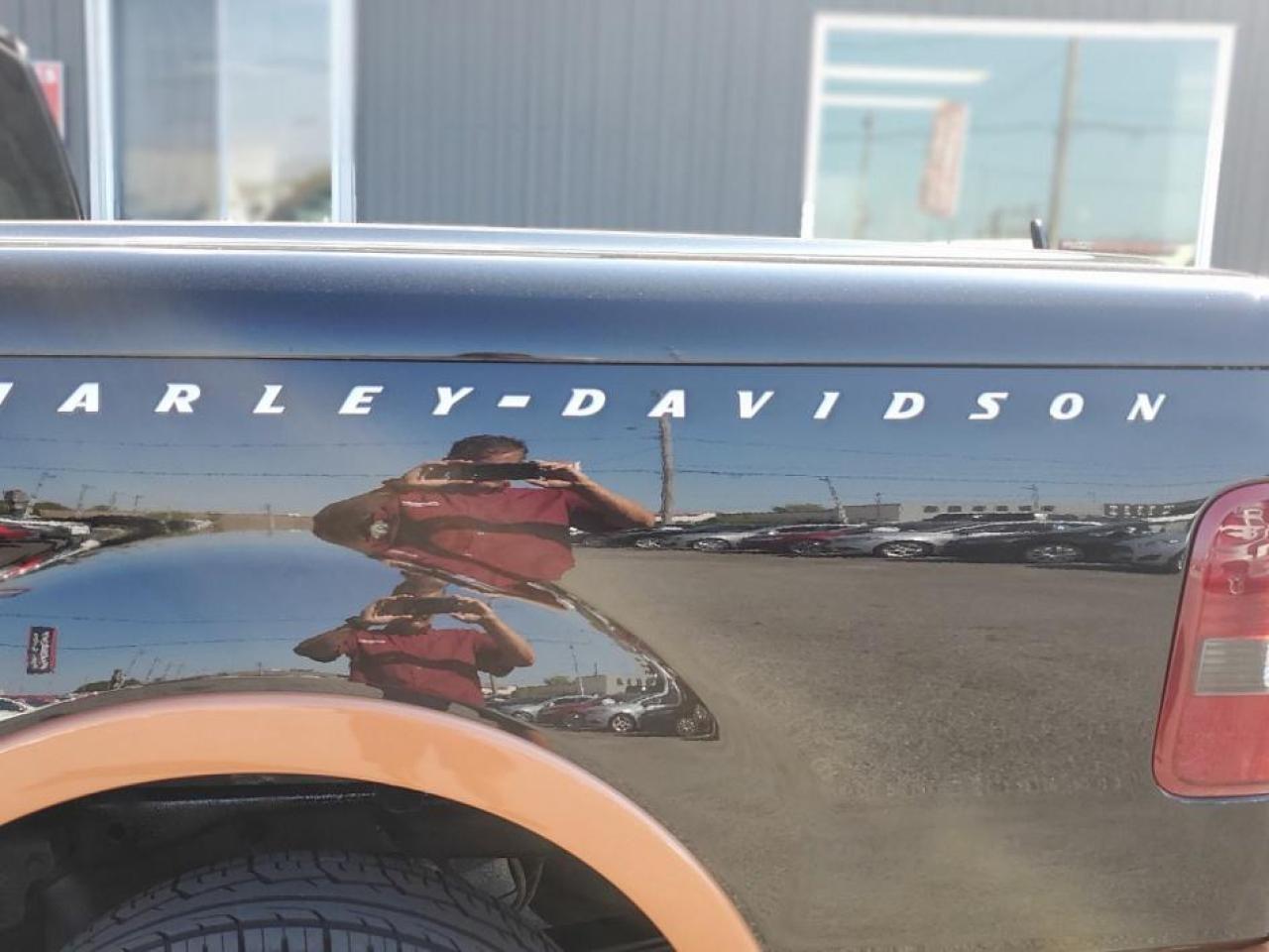 2008 Ford F-150 AWD SuperCrew 139" Harley-Davidson - Photo #9