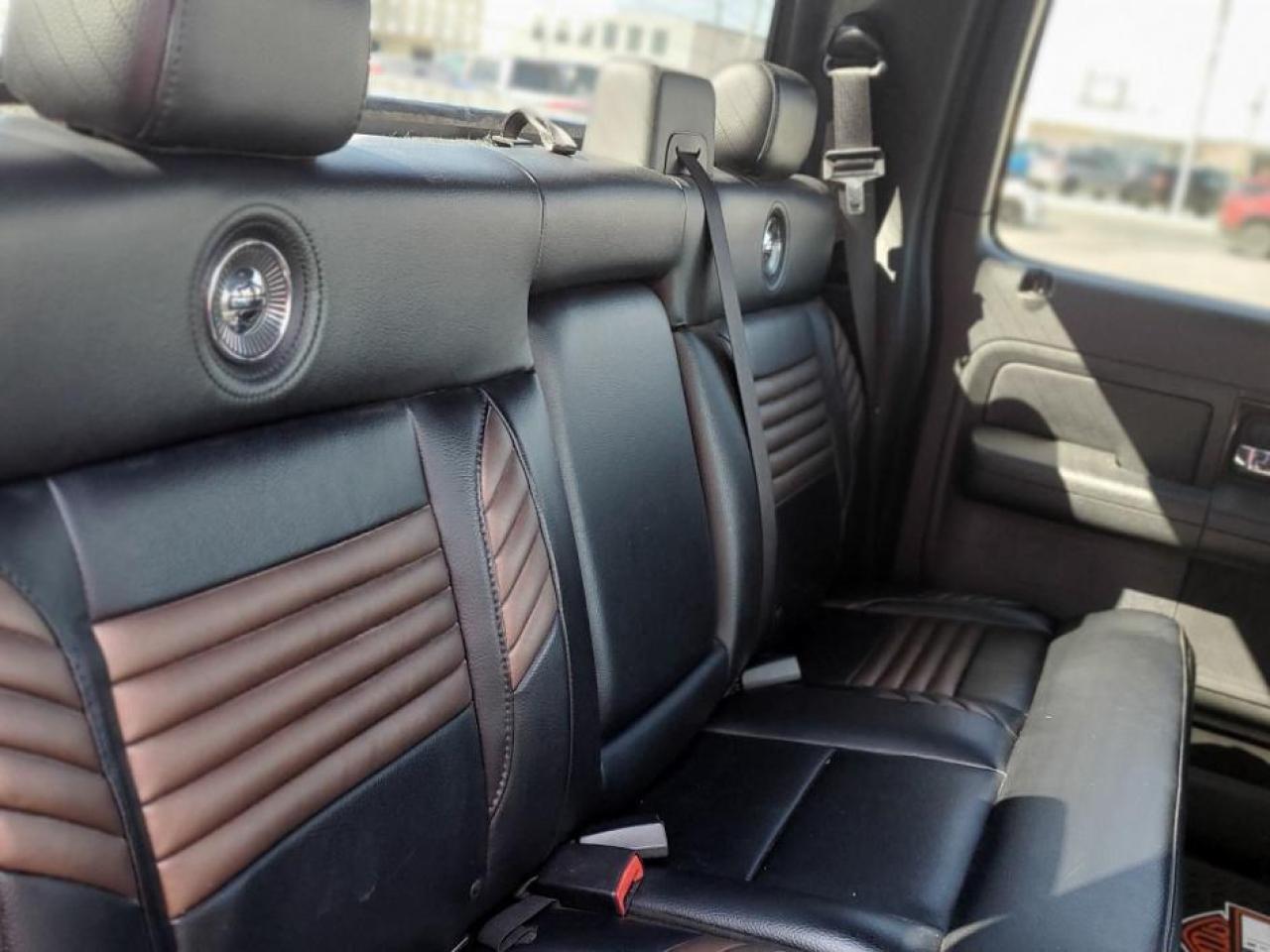 2008 Ford F-150 AWD SuperCrew 139" Harley-Davidson - Photo #26