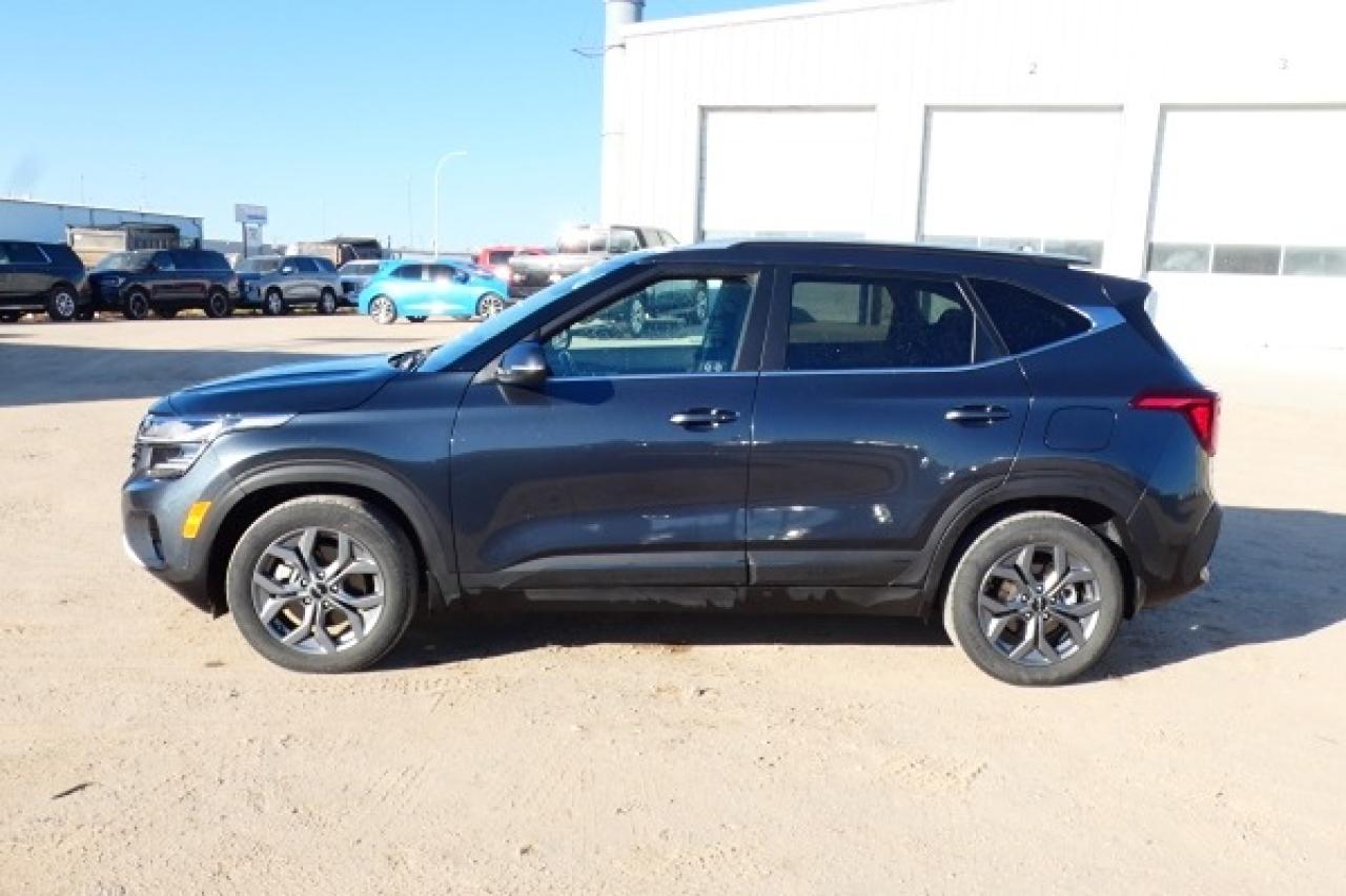 2024 Kia Seltos EX AWD w/Htd Leather, S/R, BUC - Photo #1