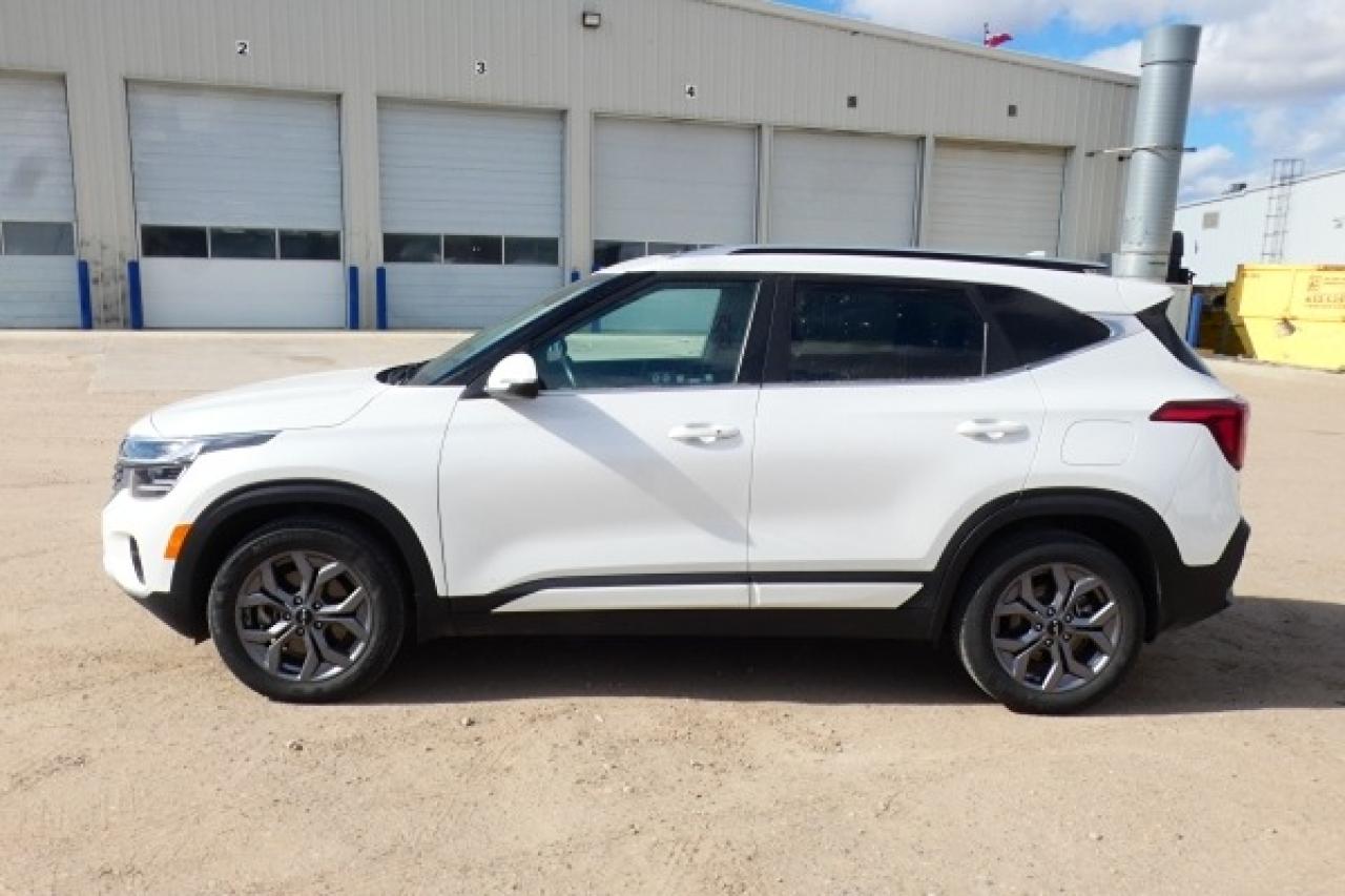 2024 Kia Seltos EX AWD w/Htd Leather, S/R, BUC - Photo #1
