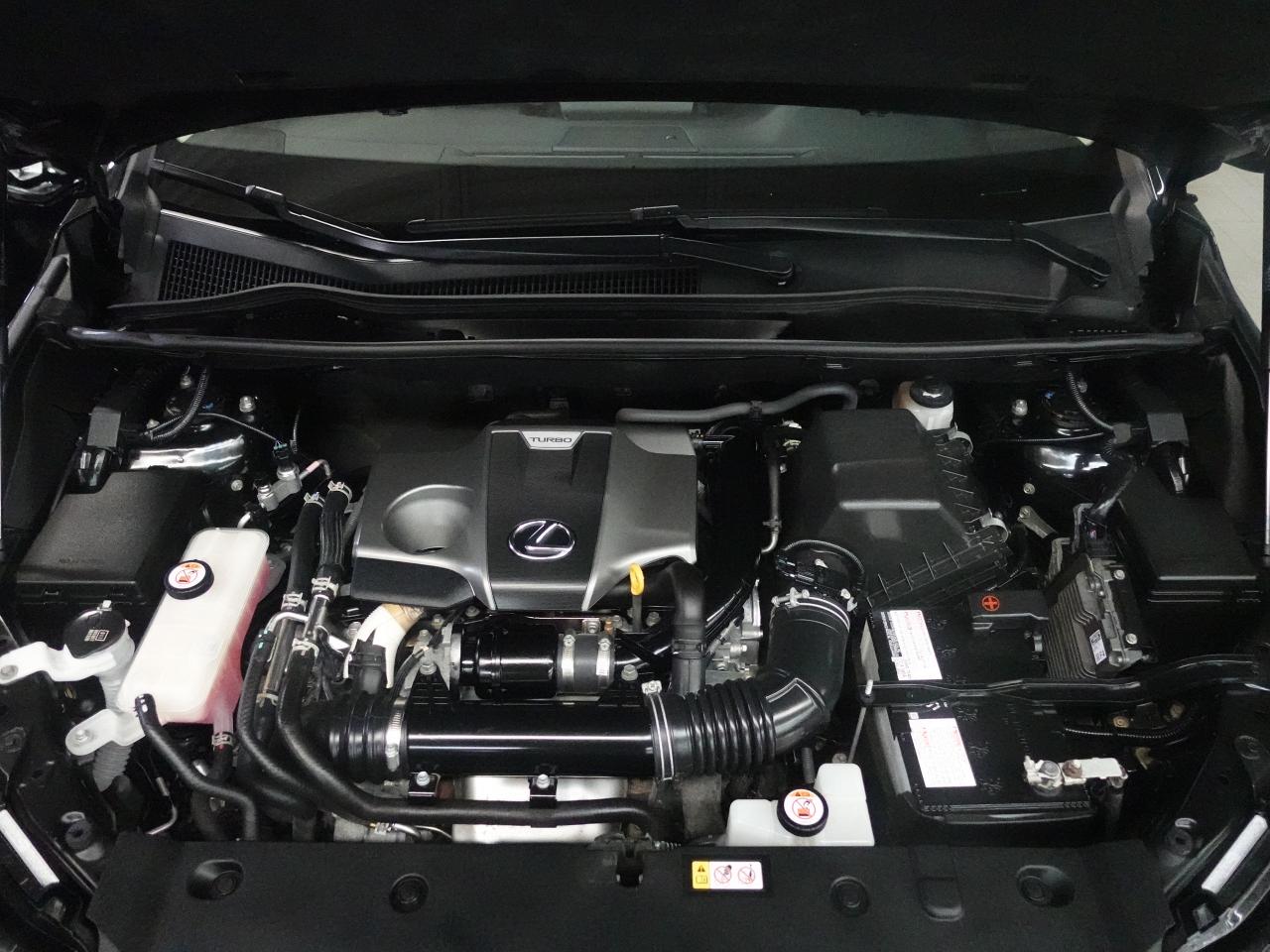 2021 Lexus NX AWD | Leather | Sunroof | ACC | BSM | CarPlay