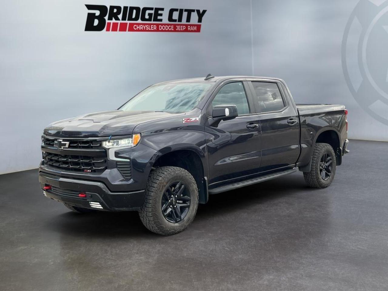 Used 2024 Chevrolet Silverado 1500 LT Trail Boss 5.3L V8 - Leather - Sunroof - Bose Sound - Trail Boss Pkg - Z71 Pkg - Side Steps - Low Km's! for sale in Lethbridge, AB