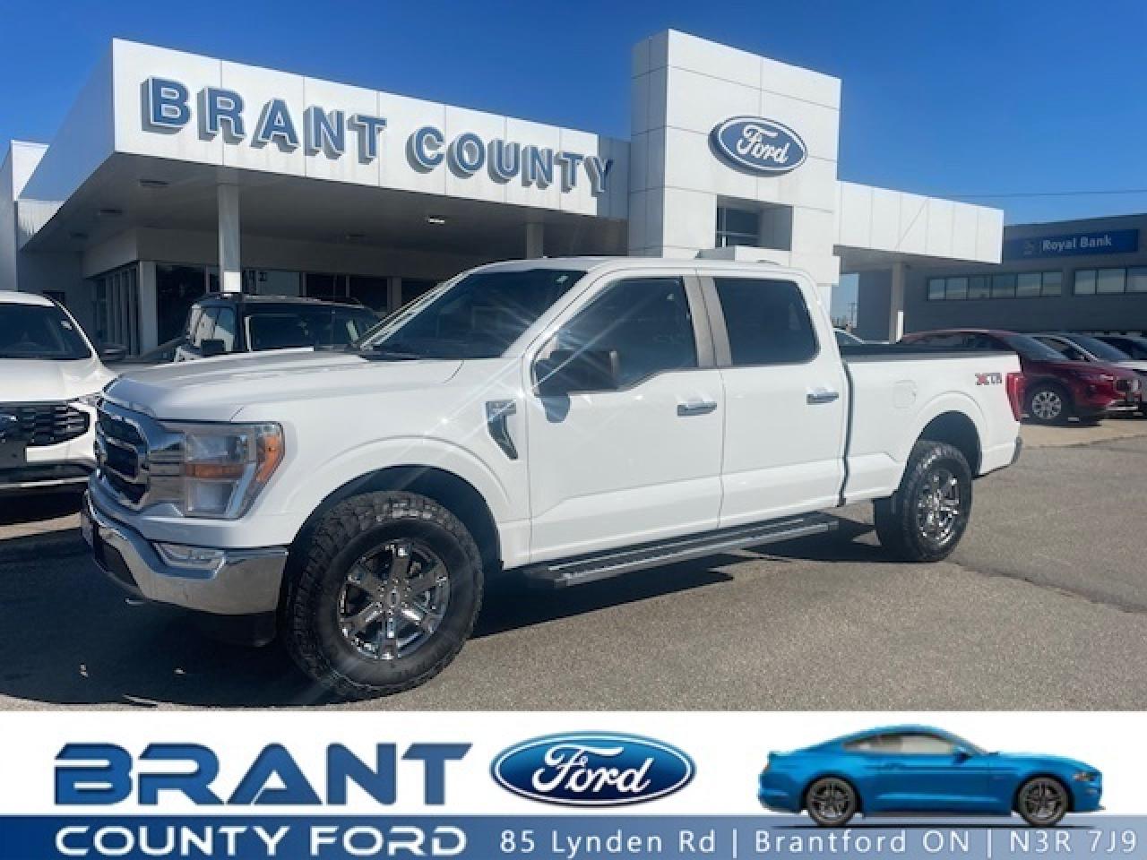 Used 2021 Ford F-150 XLT CREW CAB | 5.0L V8 | XTR PKG | 300A | LONG BOX for sale in Brantford, ON