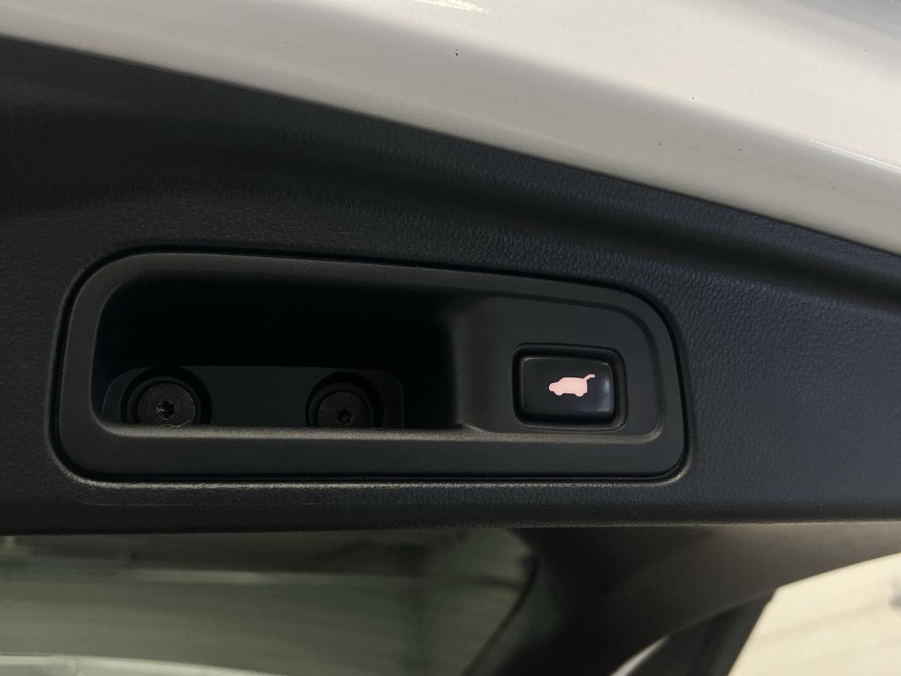 2020 Honda Pilot BLACK EDITION AWD | 7-PASS | COOLED LEATHER | DVD Photo