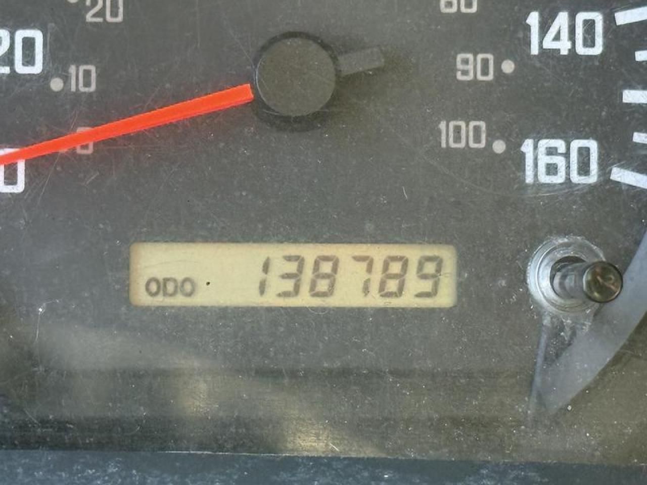 13005397
