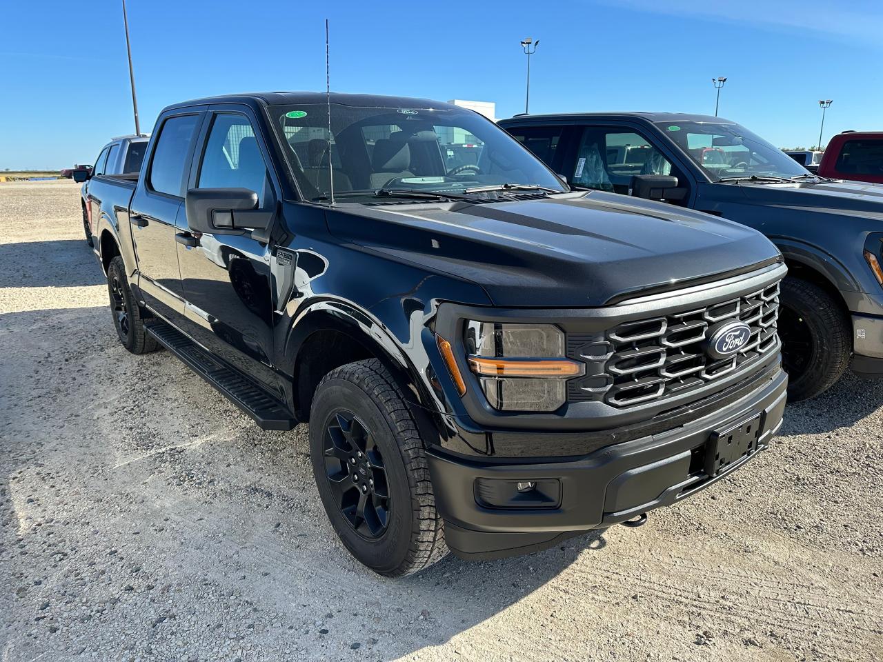 2025 Ford F-150 STX 4WD SuperCrew 5.5' Box 201A Photo