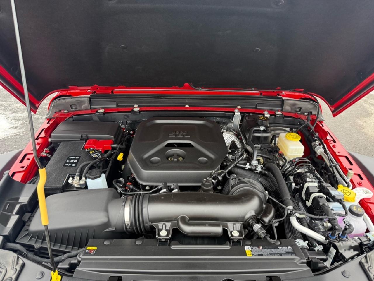 2026 Jeep Wrangler Willys  - Freedom Top - $201.46 /Wk Photo