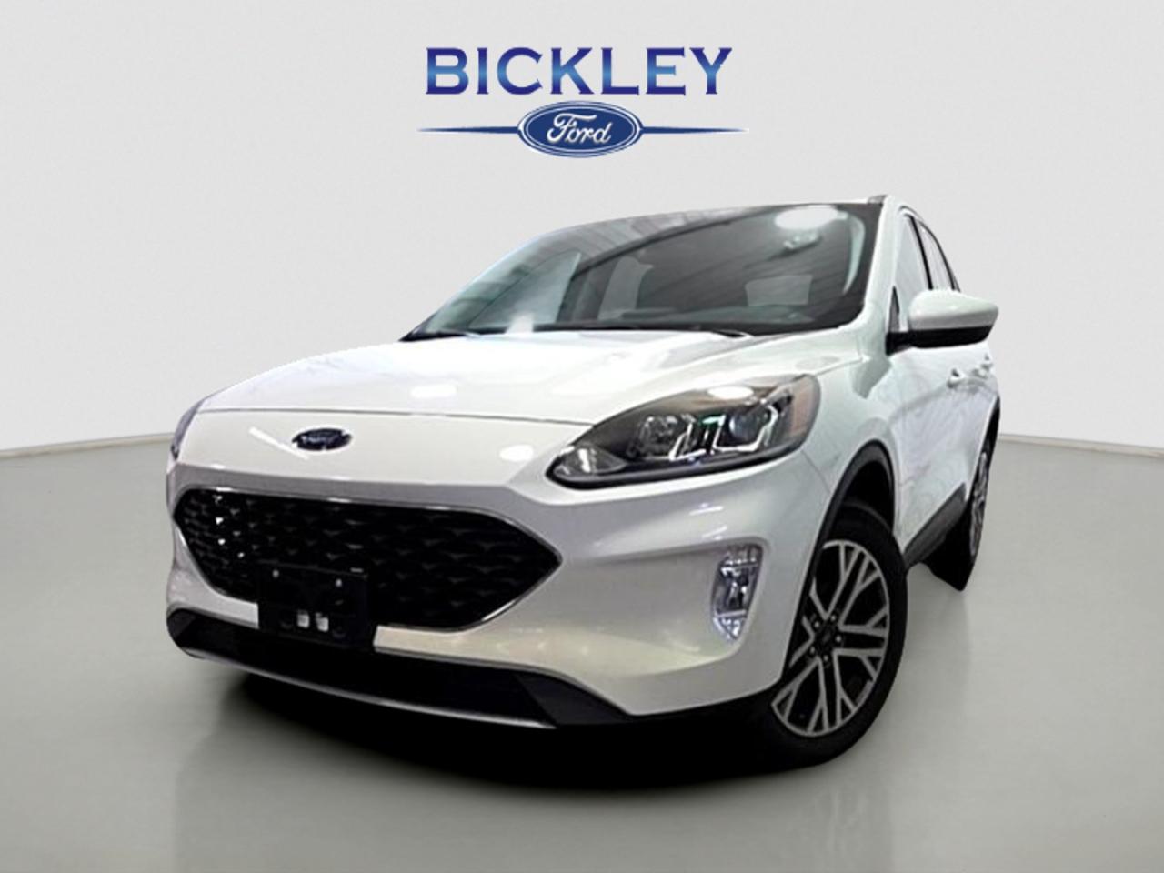 Used 2022 Ford Escape SEL for sale in Huntsville, ON