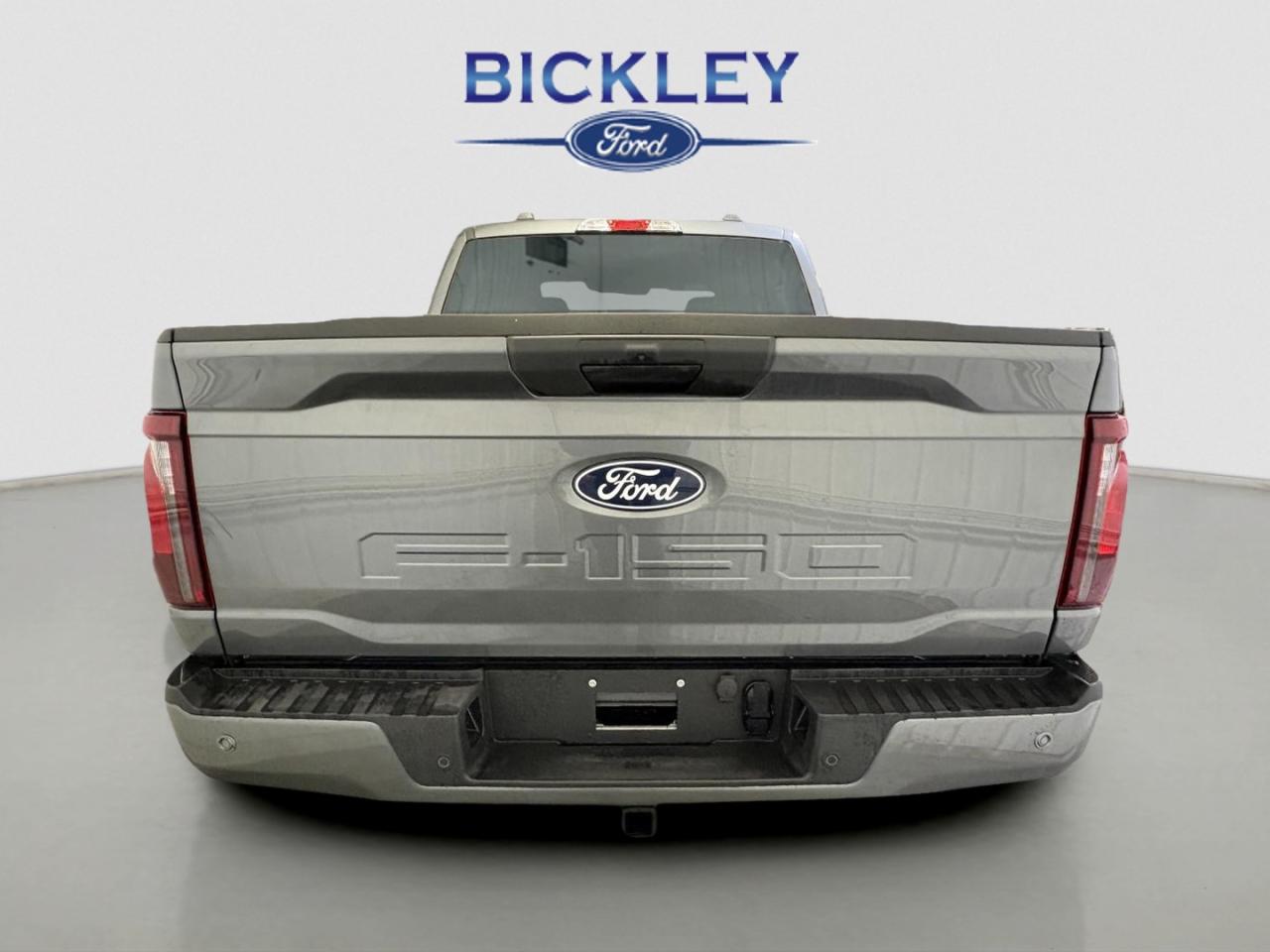 2025 Ford F-150 STX Photo