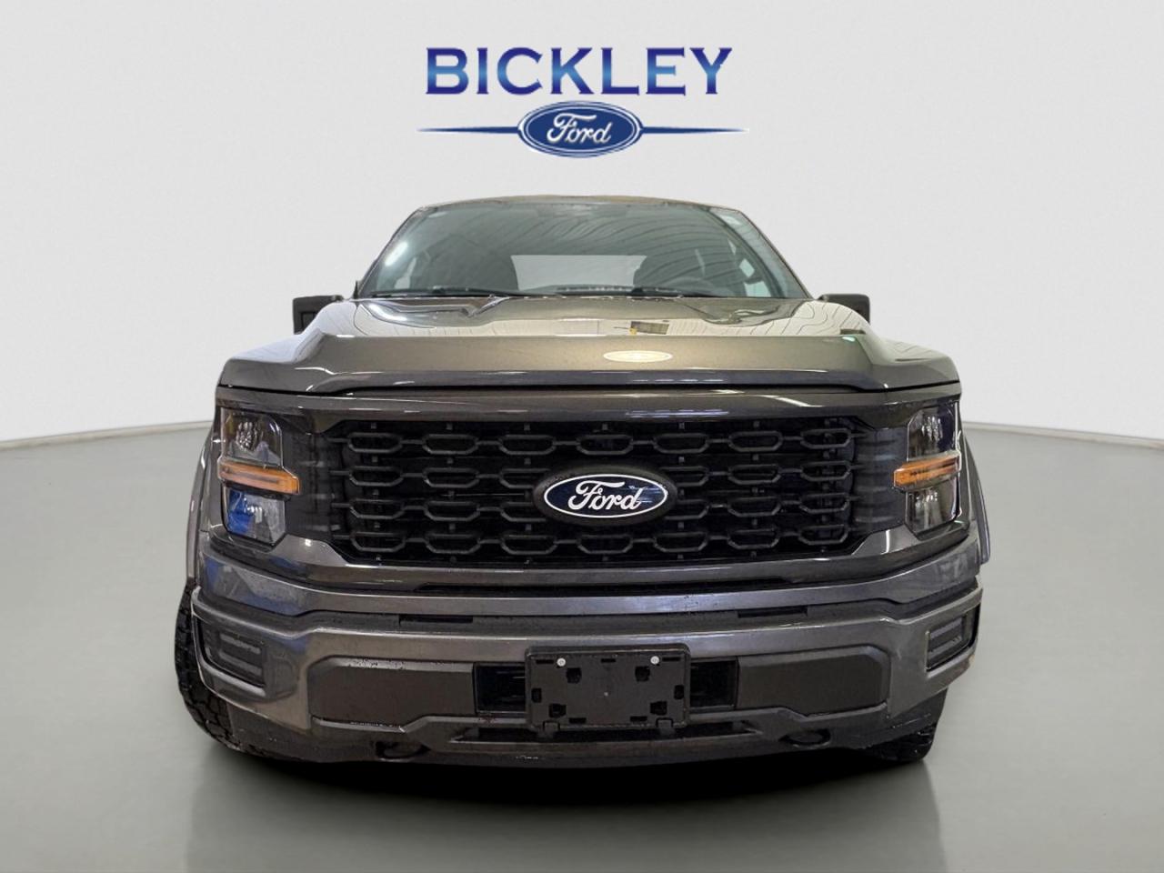 2025 Ford F-150 STX Photo