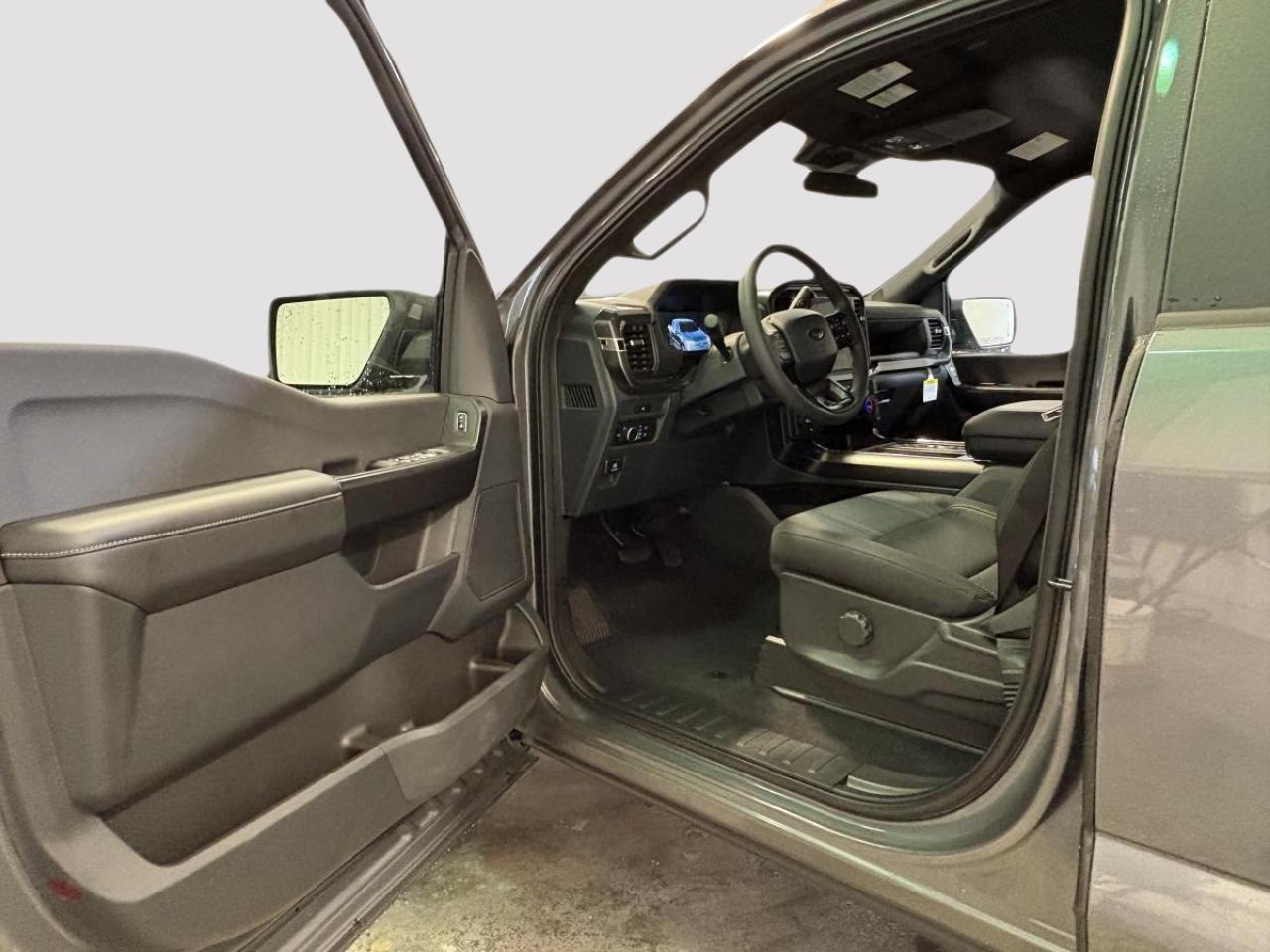 2025 Ford F-150 STX Photo