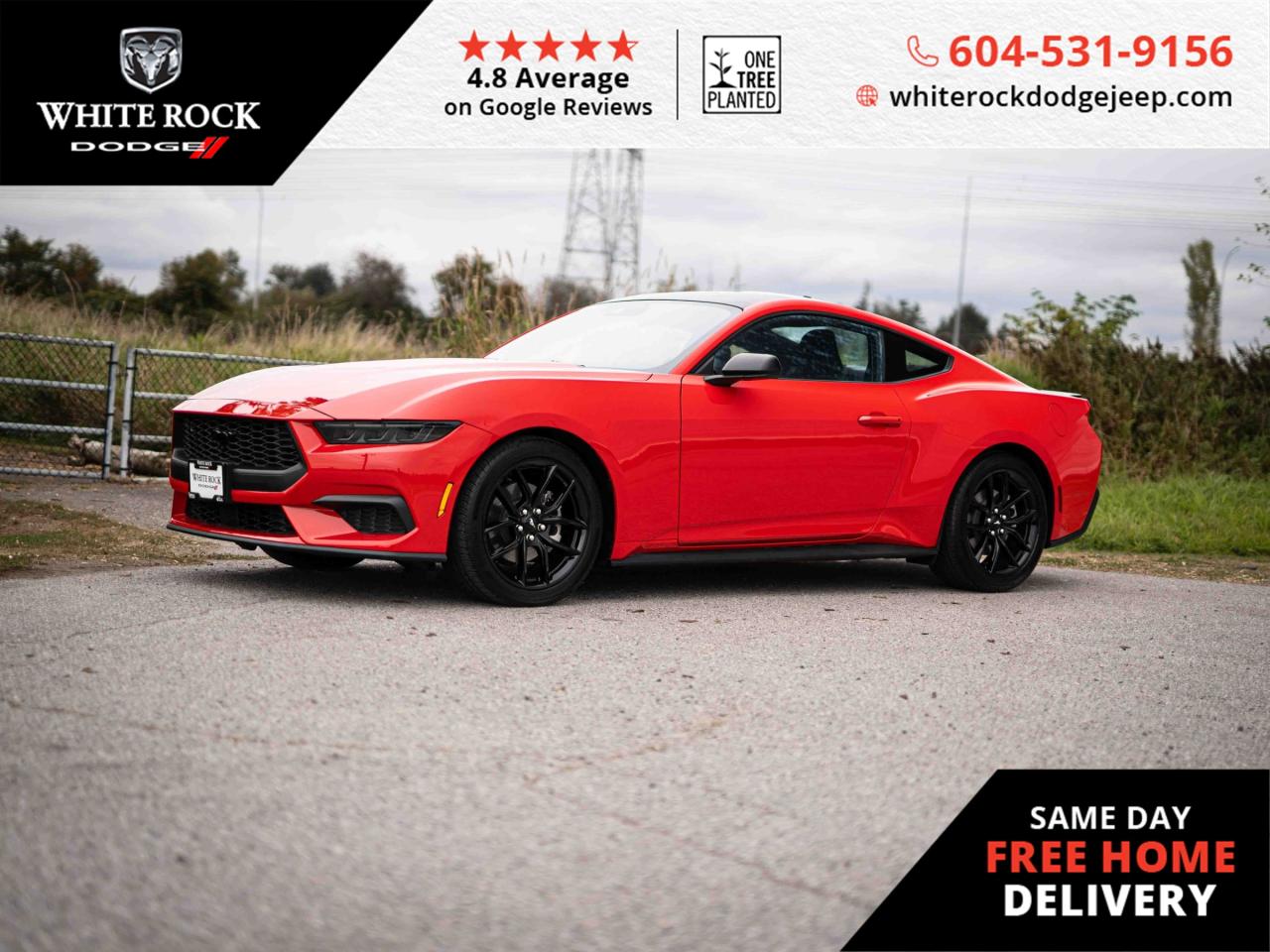 Used 2024 Ford Mustang  for sale in Surrey, BC