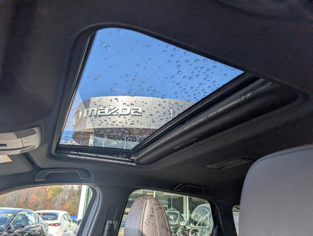 2025 Mazda CX-5 Signature Photo