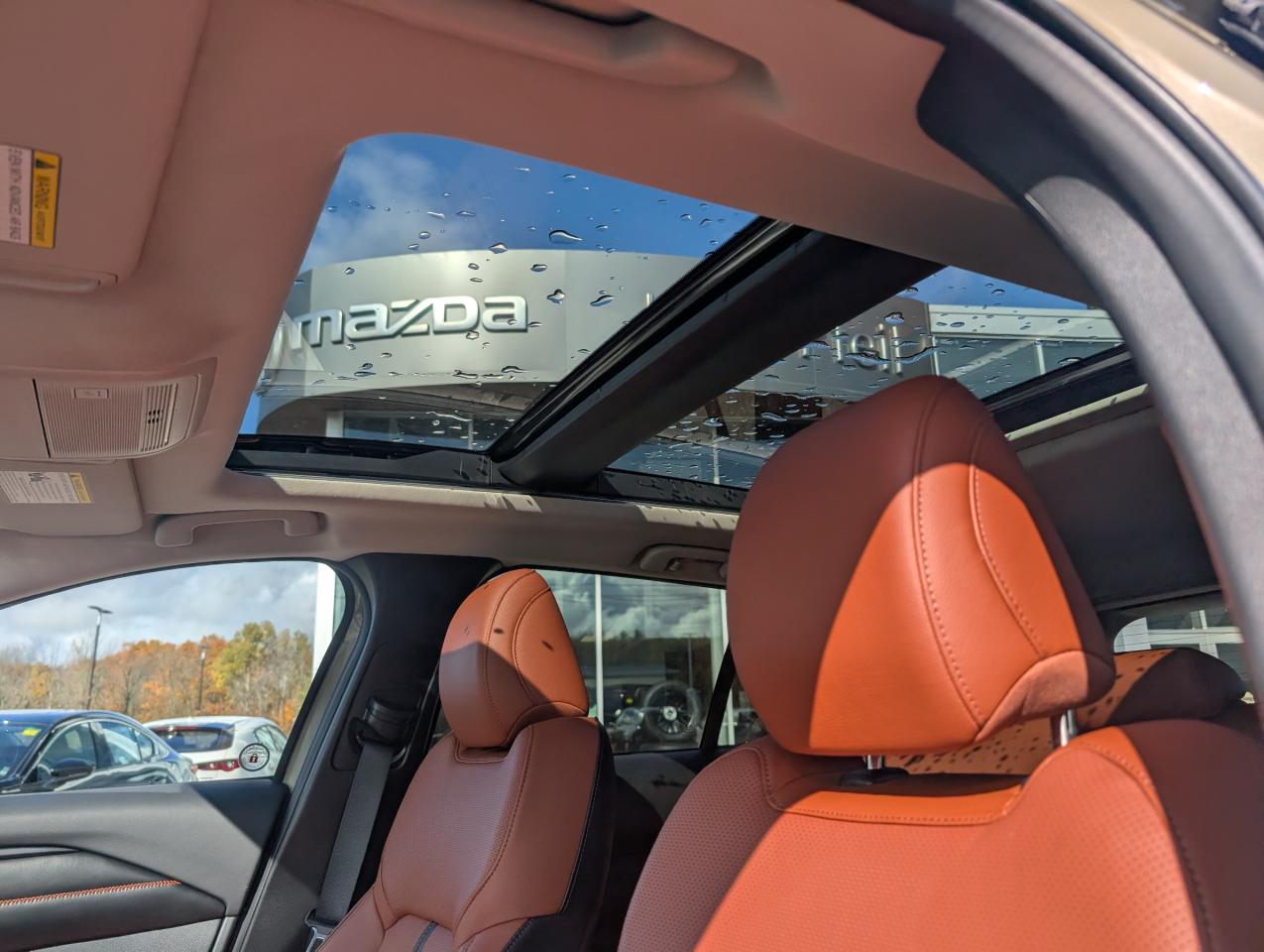 2025 Mazda CX-50 GT W/TURBO Photo