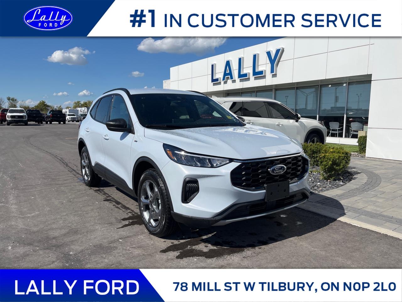 New 2025 Ford Escape ST-Line for sale in Tilbury, ON