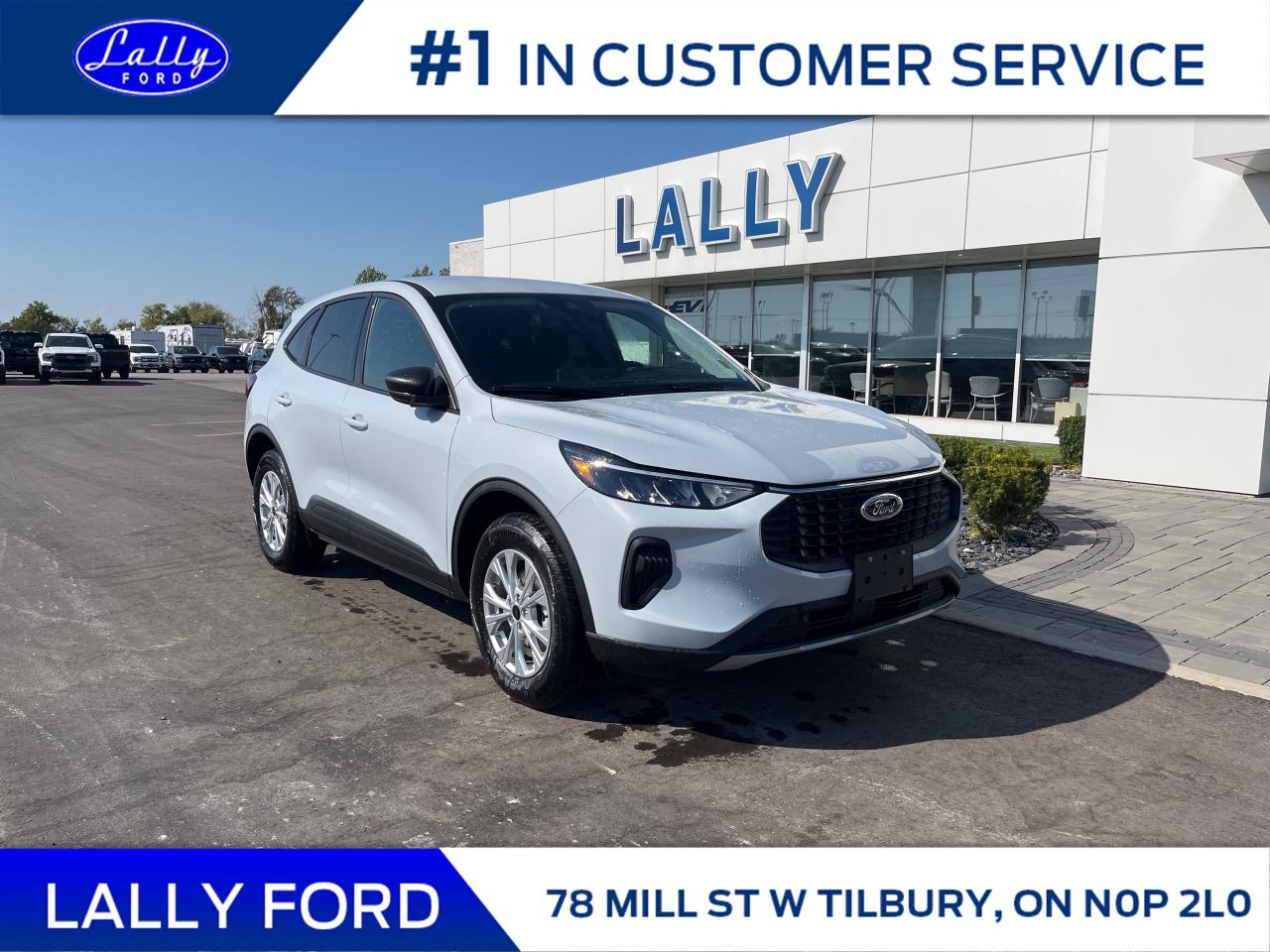 New 2025 Ford Escape Active for sale in Tilbury, ON