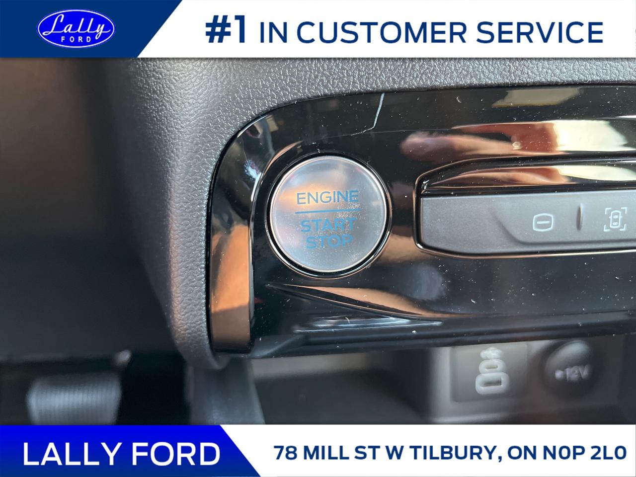 2026 Ford Escape ST-Line Photo