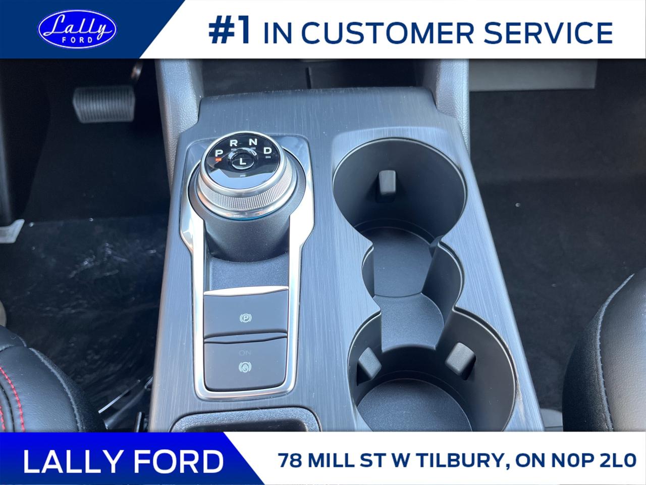 2026 Ford Escape ST-Line Photo