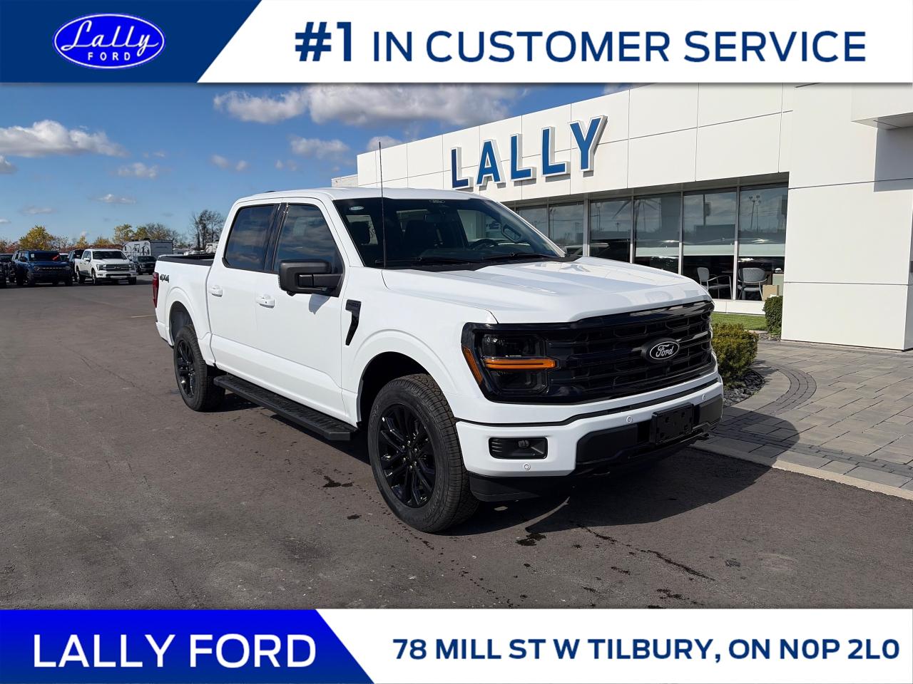 New 2025 Ford F-150 XLT for sale in Tilbury, ON