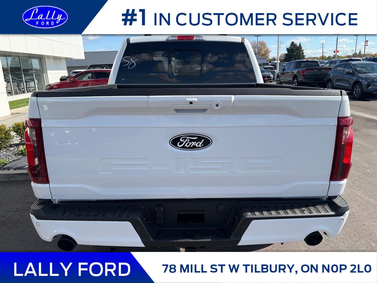 2025 Ford F-150 XLT Photo3