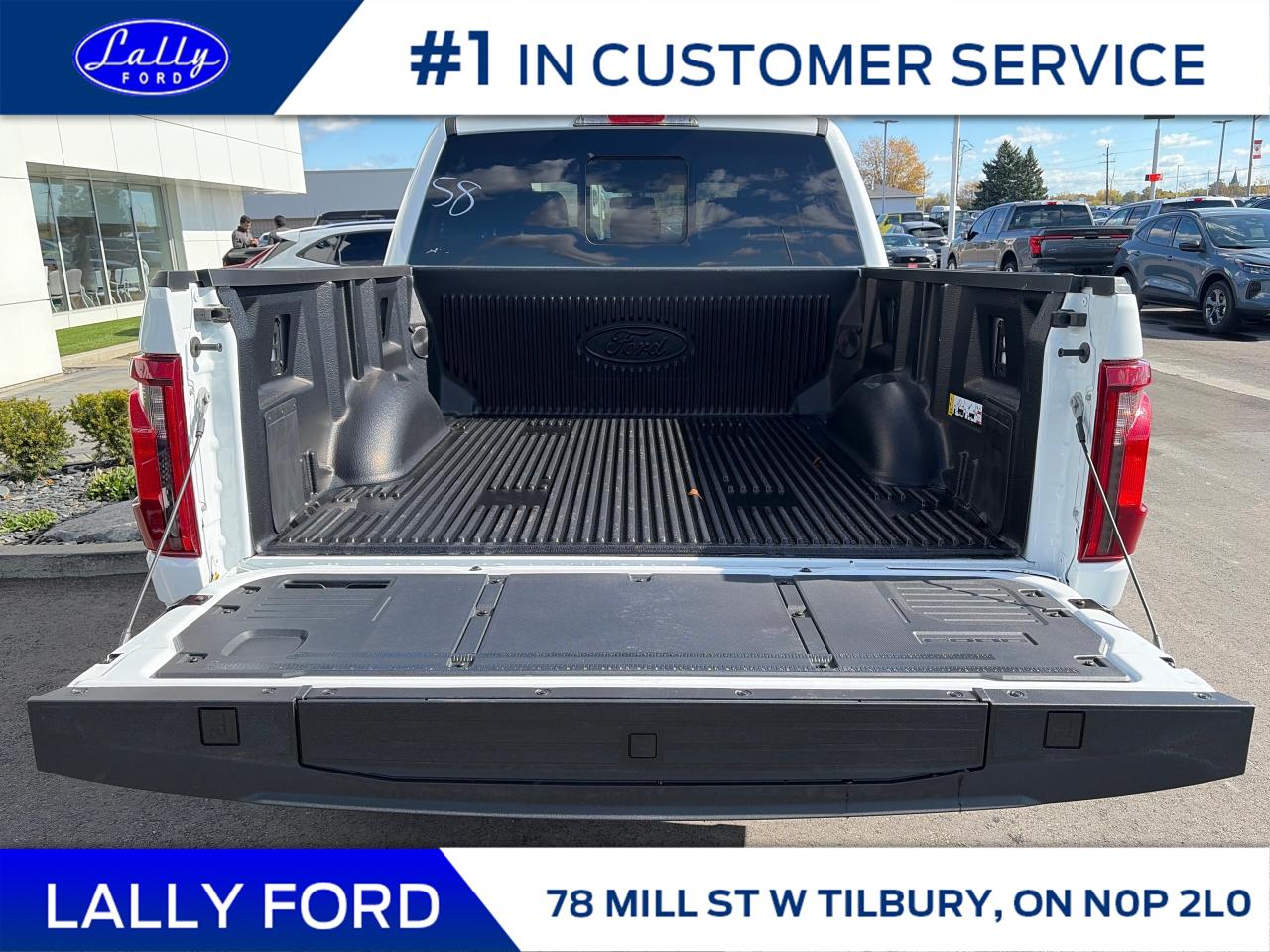 2025 Ford F-150 XLT Photo4