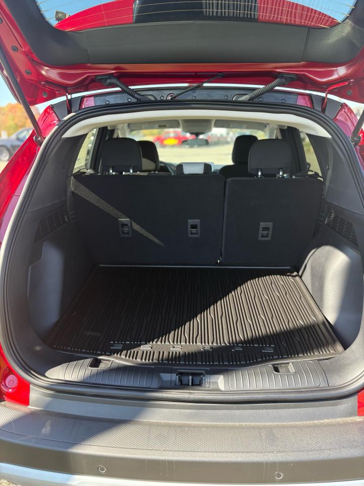2026 Ford Escape  Photo4