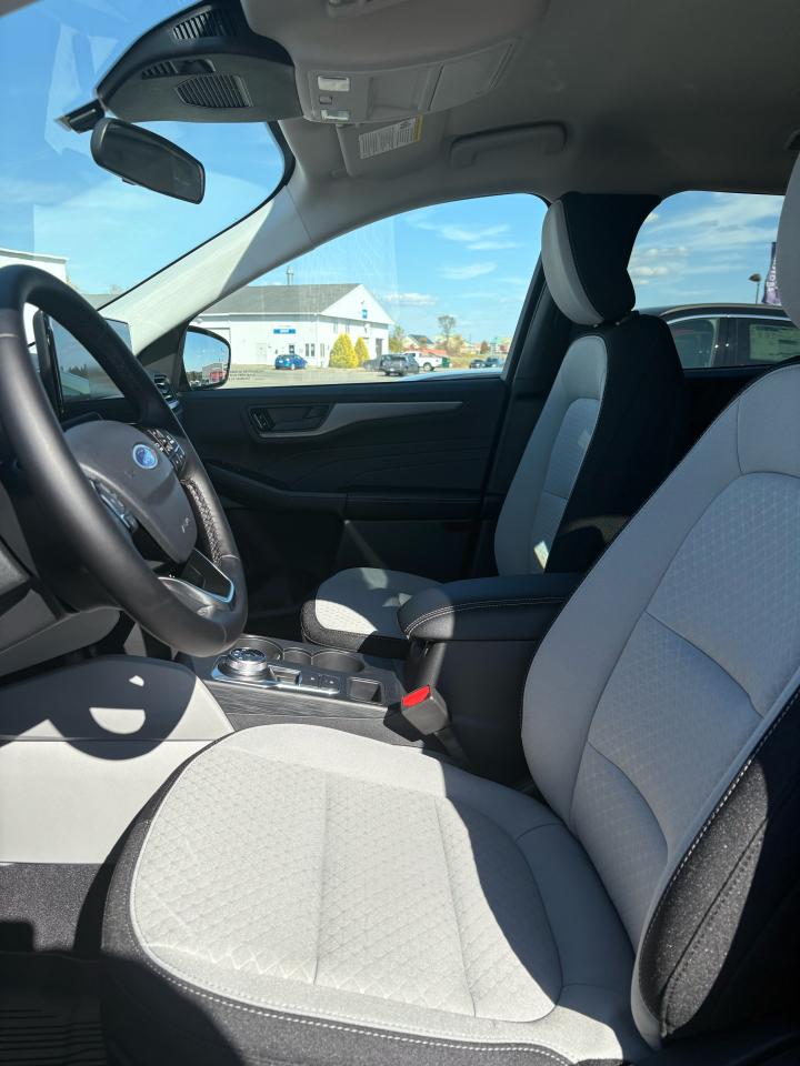 2026 Ford Escape  Photo3