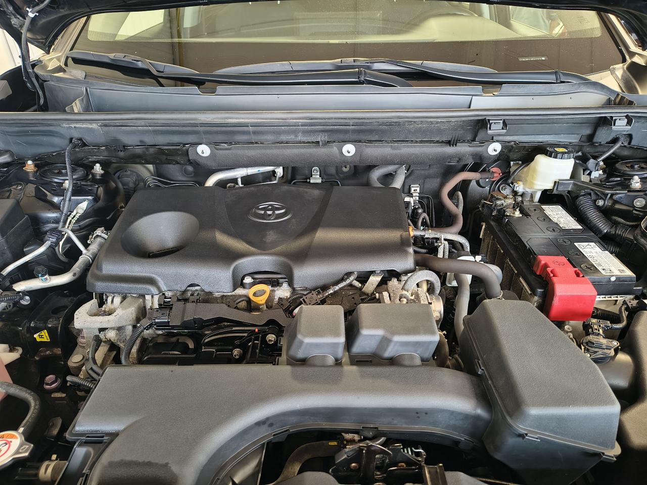 2022 Toyota RAV4 LE Photo0