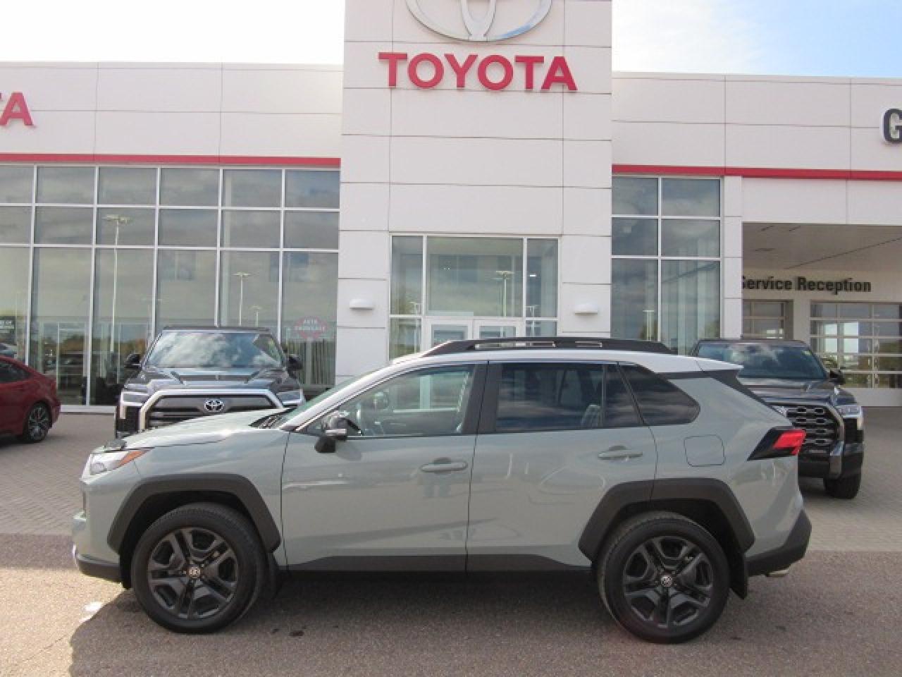 2022 Toyota RAV4 TRAIL Photo1