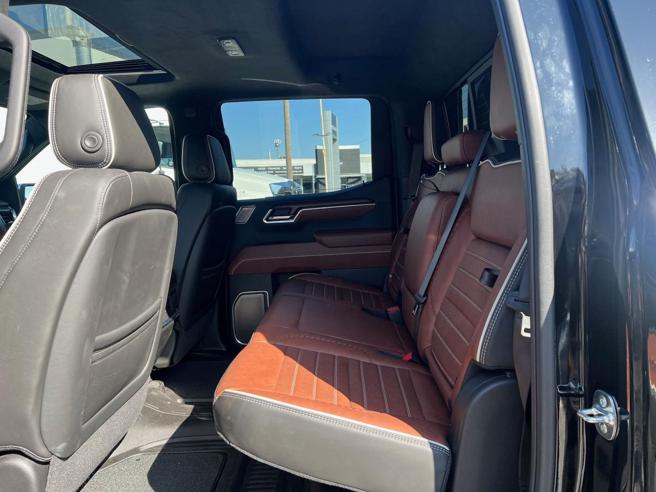 2025 GMC Sierra 1500 Denali Ultimate Photo10