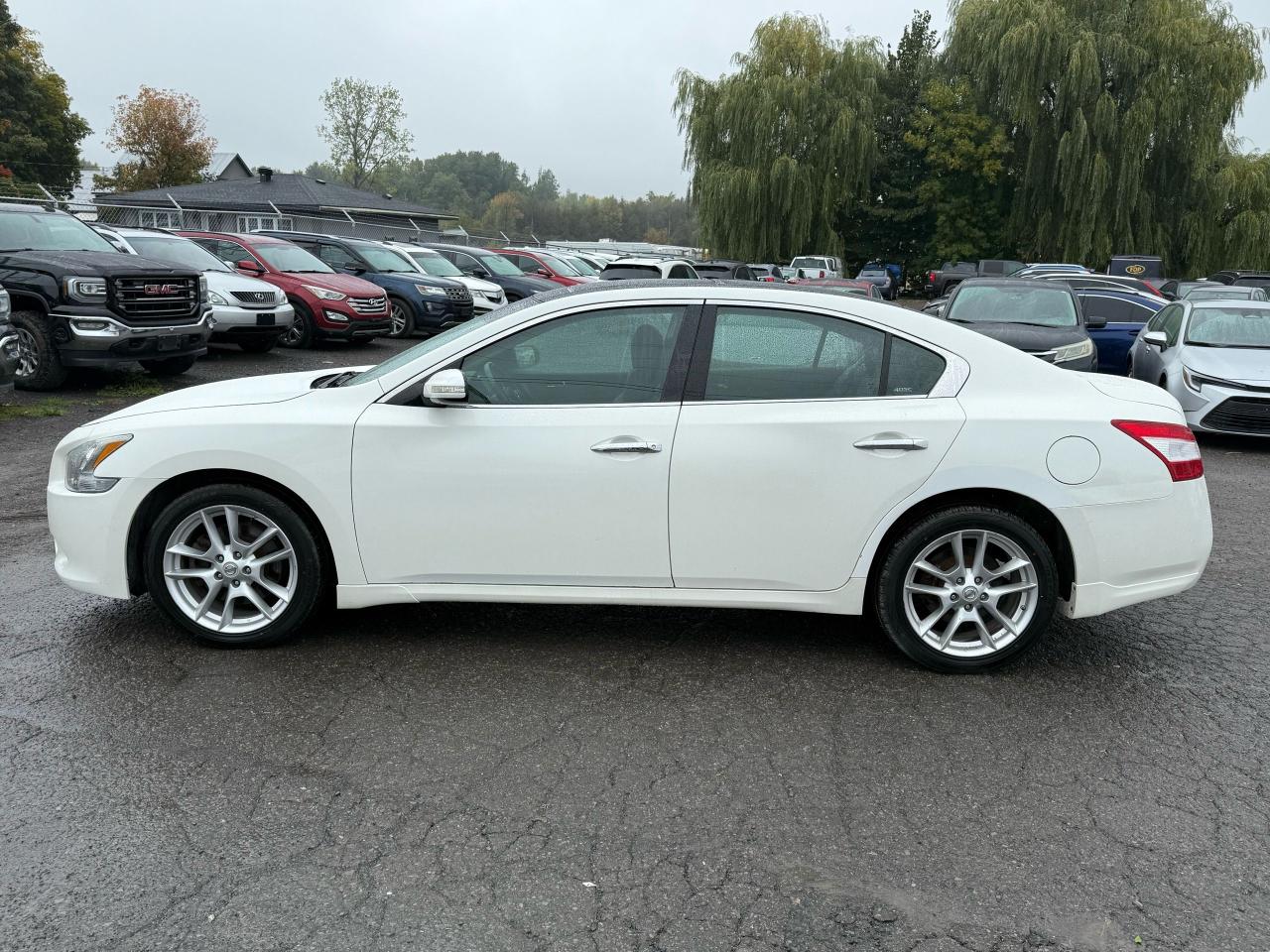 2011 Nissan Maxima 3.5 SV w/Premium Pkg - Photo #2