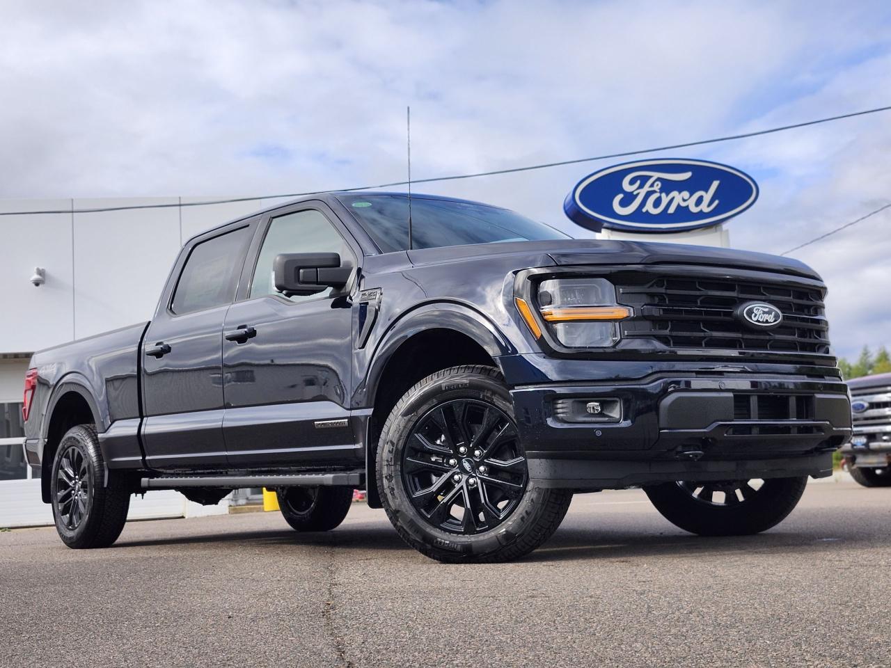 2025 Ford F-150 XLT 4WD SuperCrew 6.5' Box Photo0