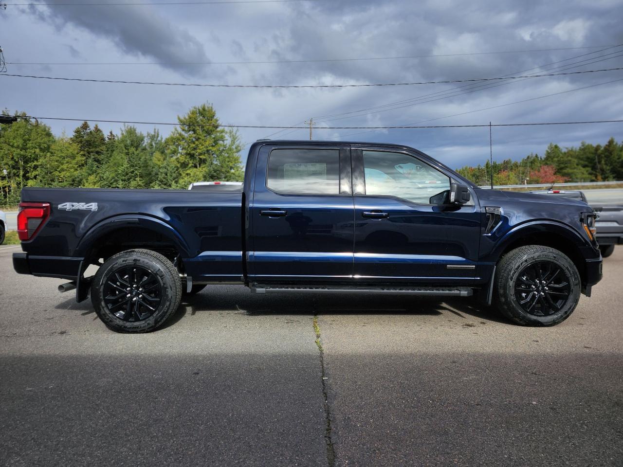 2025 Ford F-150 XLT 4WD SuperCrew 6.5' Box Photo