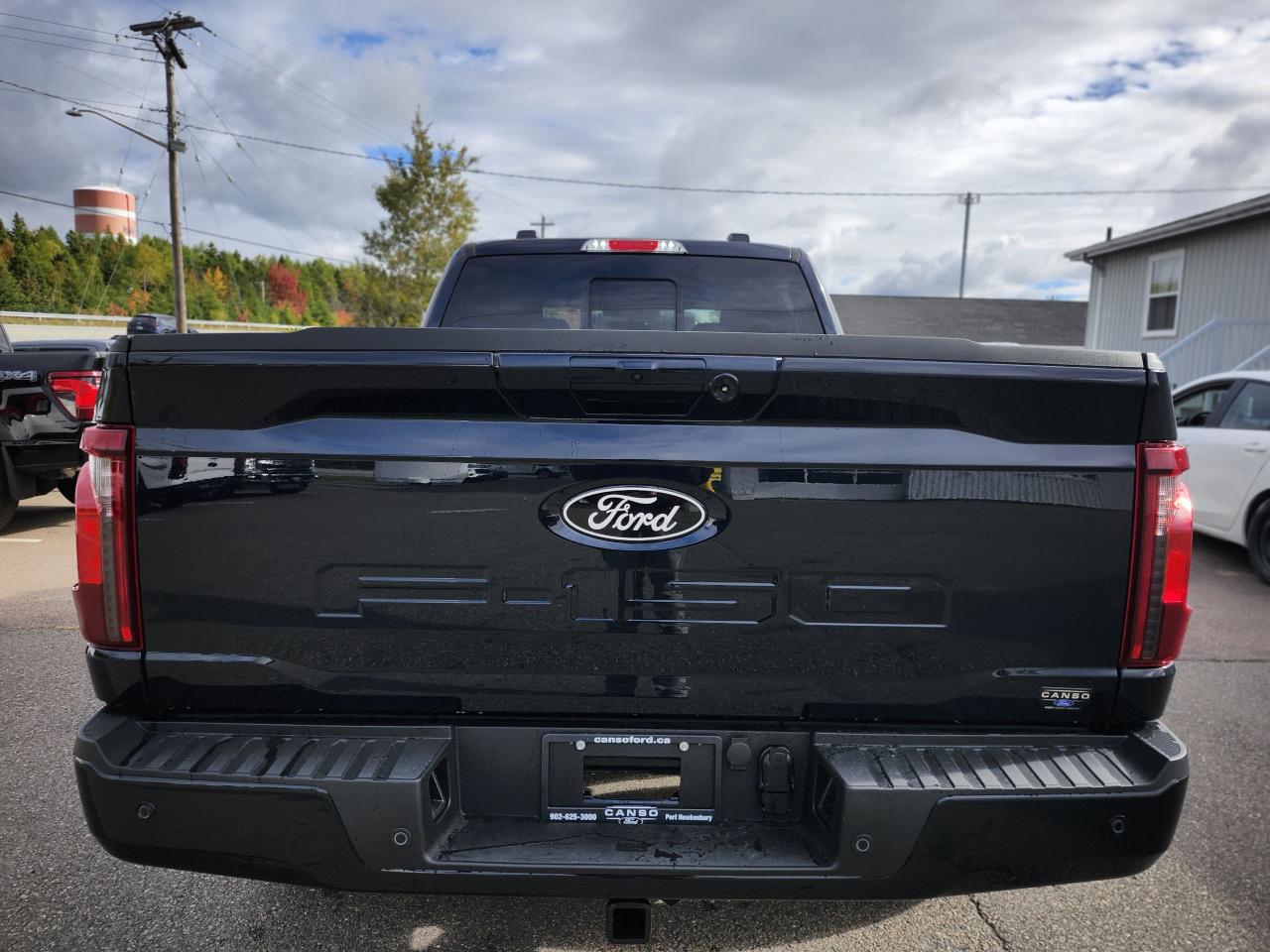 2025 Ford F-150 XLT 4WD SuperCrew 6.5' Box Photo5