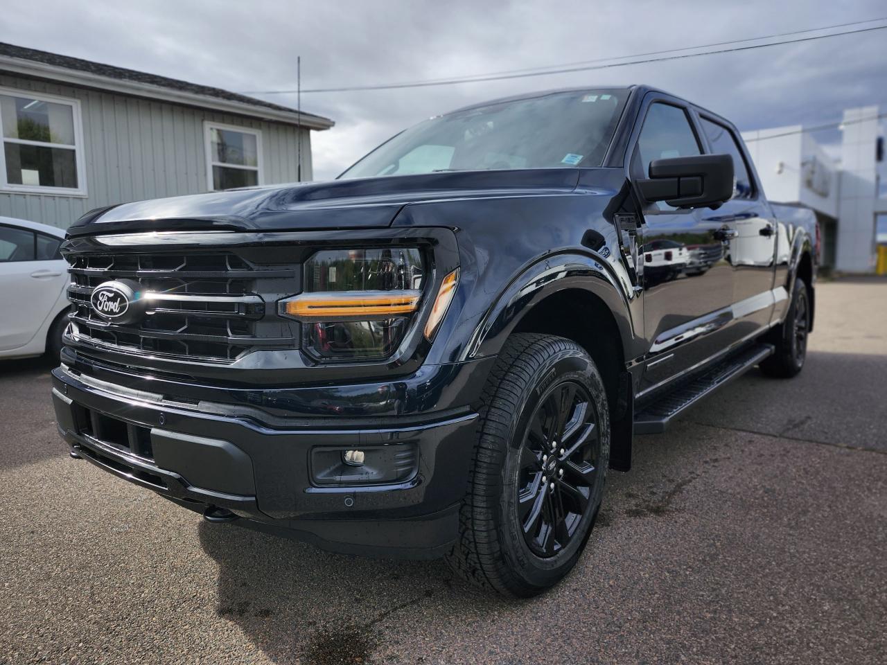 2025 Ford F-150 XLT 4WD SuperCrew 6.5' Box Photo5
