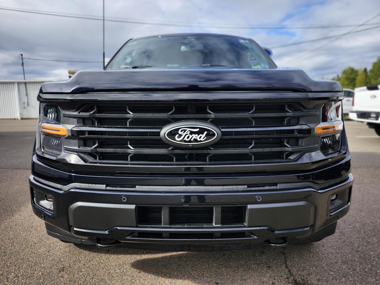 2025 Ford F-150 XLT 4WD SuperCrew 6.5' Box Photo1