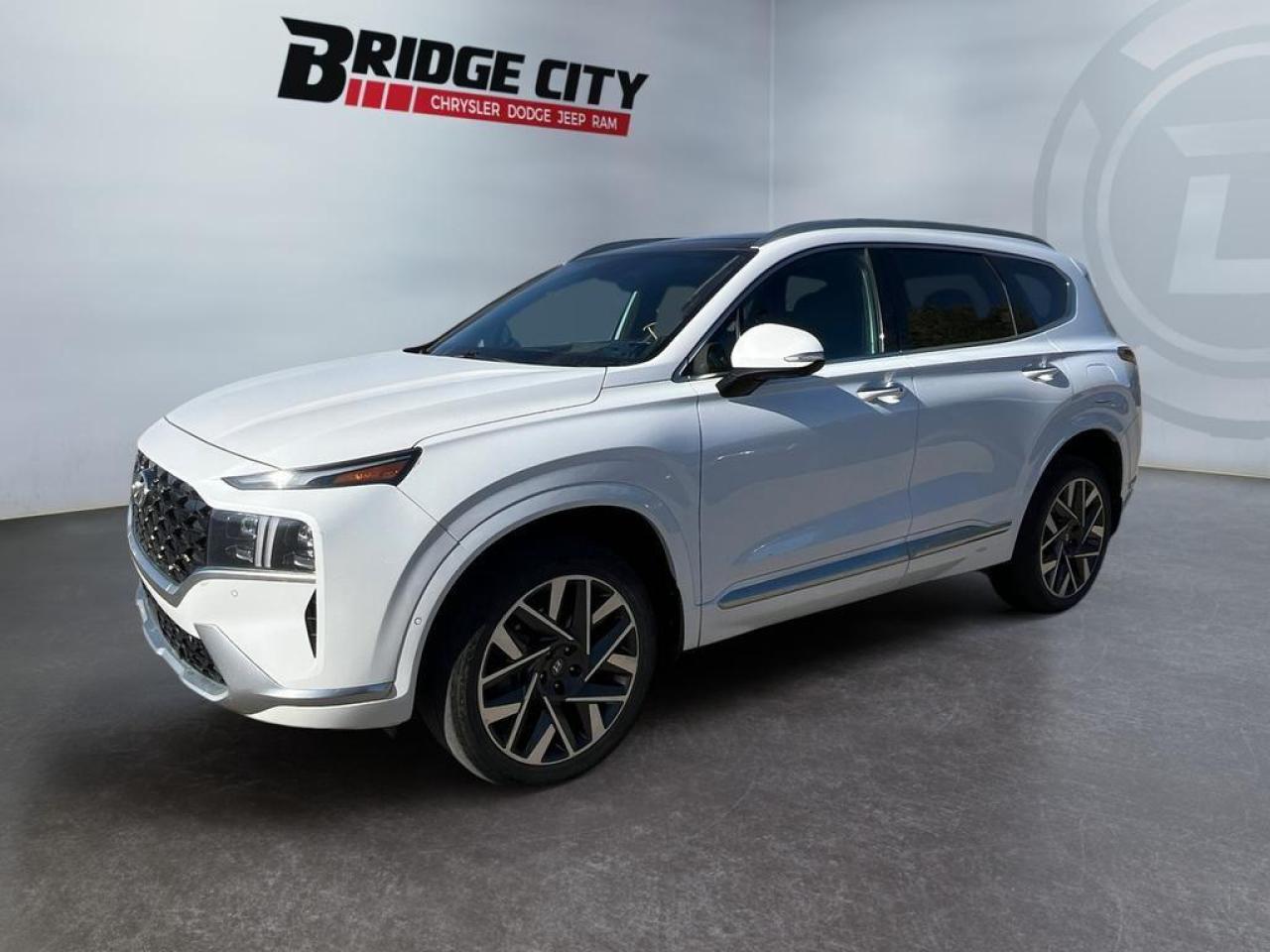 Used 2022 Hyundai Santa Fe Ultimate Calligraphy Calligraphy Ultimate Pkg - Leather - Heated Seats & Steering Wheel - LED Lights - Panoramic Sunroof - Remote Start - AWD for sale in Lethbridge, AB