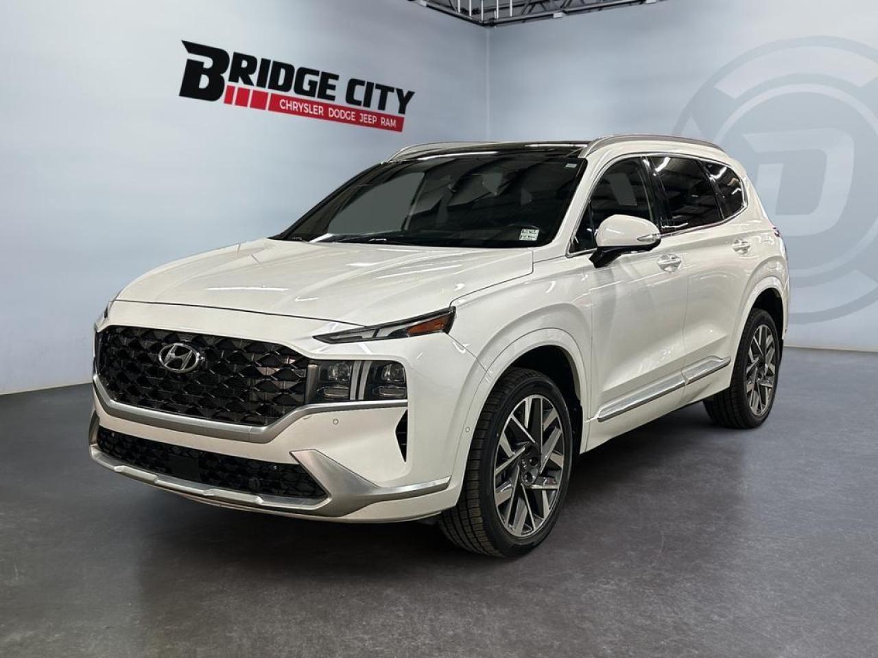 Used 2022 Hyundai Santa Fe Ultimate Calligraphy Calligraphy Ultimate Pkg - Leather - Heated Seats & Steering Wheel - LED Lights - Panoramic Sunroof - Remote Start - AWD for sale in Lethbridge, AB