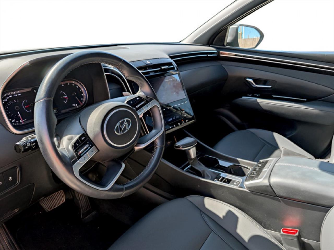 2024 Hyundai Santa Cruz Trend   **LOW KMS - 1 OWNER - MINT** Photo