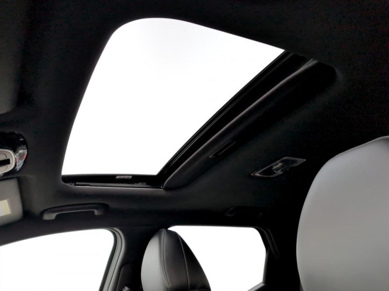 2024 Hyundai Santa Cruz Trend   **LOW KMS - 1 OWNER - MINT** Photo