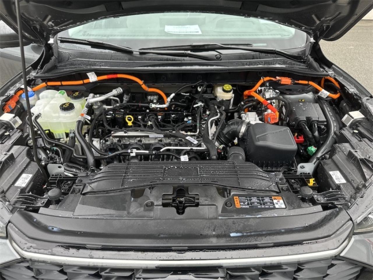 2025 Ford Escape PHEV  - Heated Seats Photo5