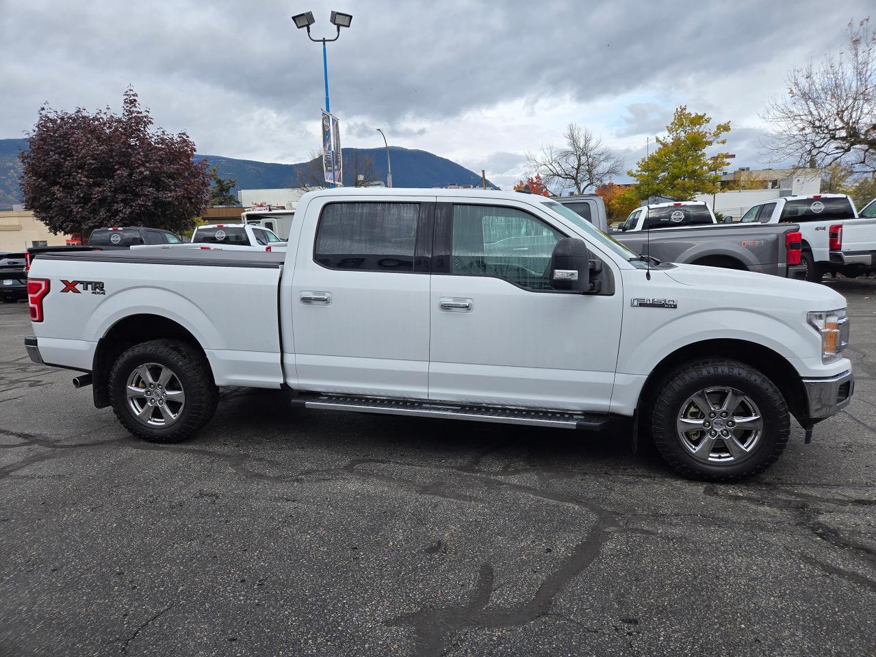 2019 Ford F-150 XLT Photo3