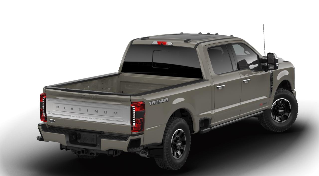 2026 Ford F-350 Super Duty SRW Platinum Photo2