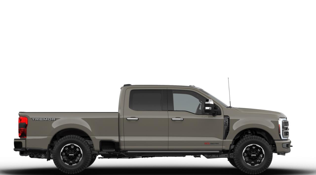 2026 Ford F-350 Super Duty SRW Platinum Photo4