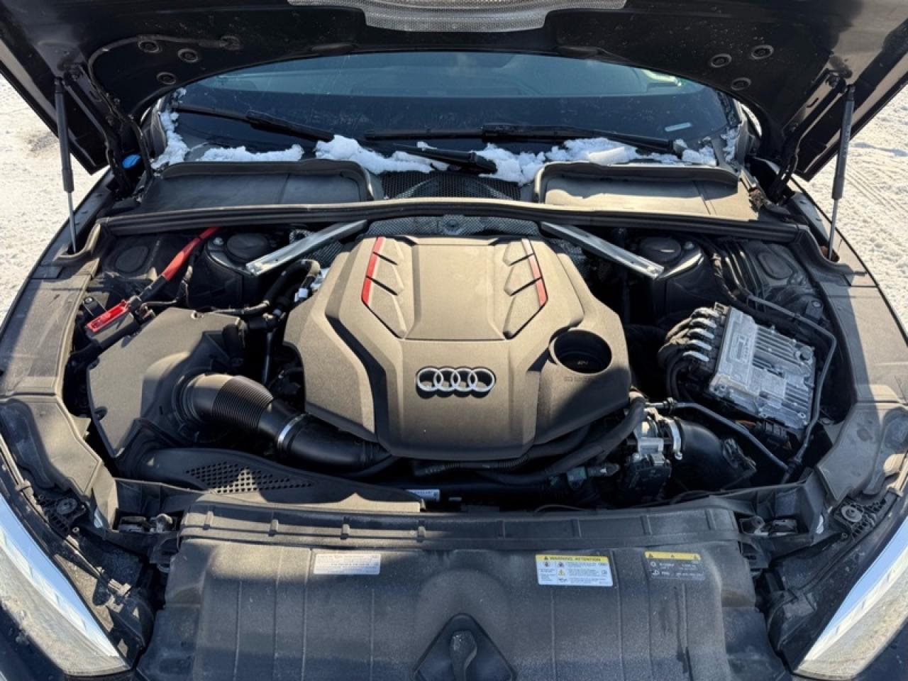 2024 Audi S5 Sportback Progressiv 3.0 TFSI quattro Photo