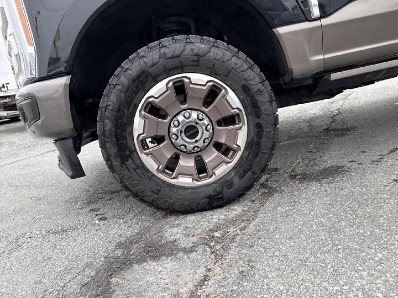 13011091