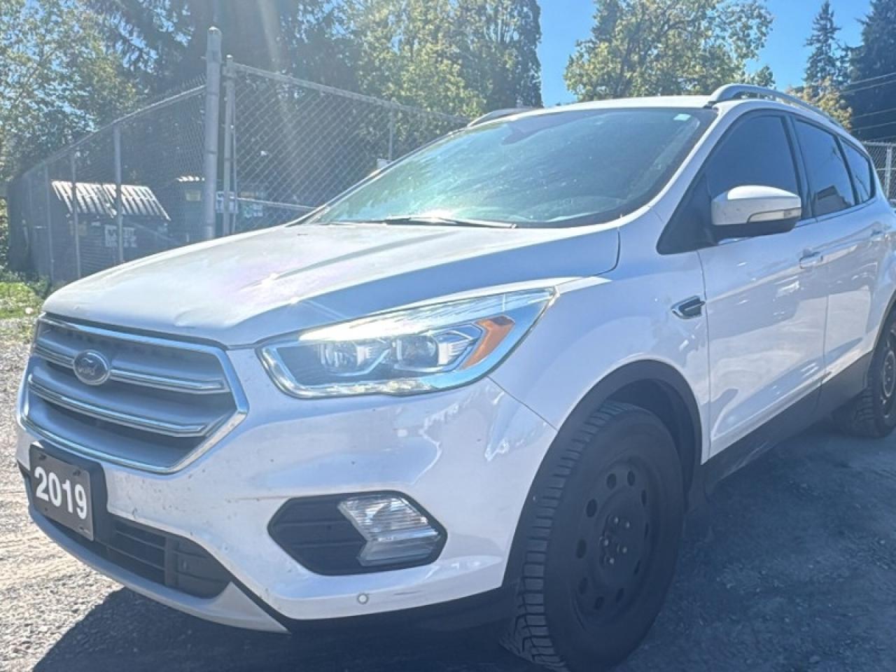Used 2019 Ford Escape Titanium for sale in Peterborough, ON
