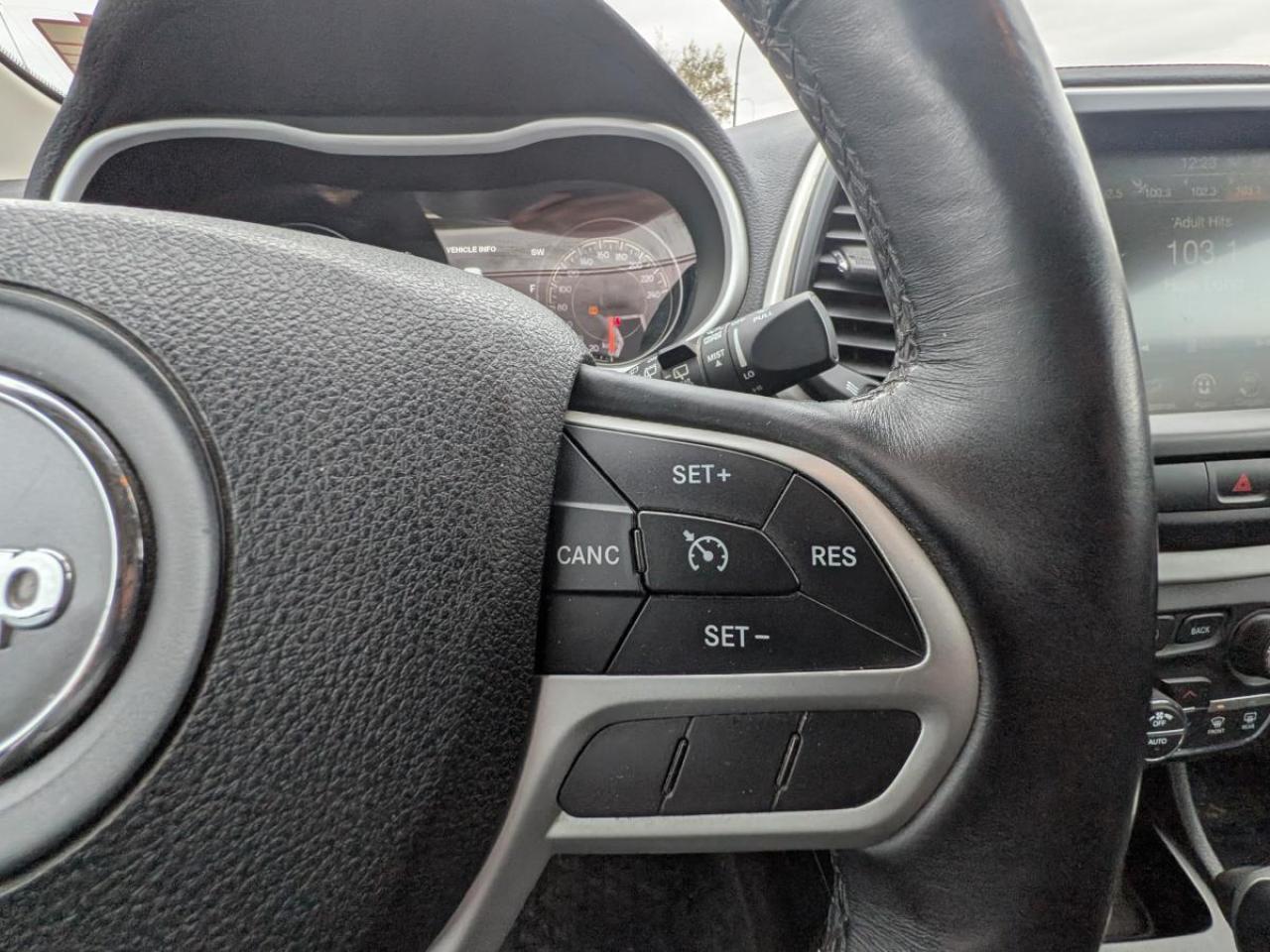 2017 Jeep Cherokee 4WD 4DR L PLUS PKG Photo