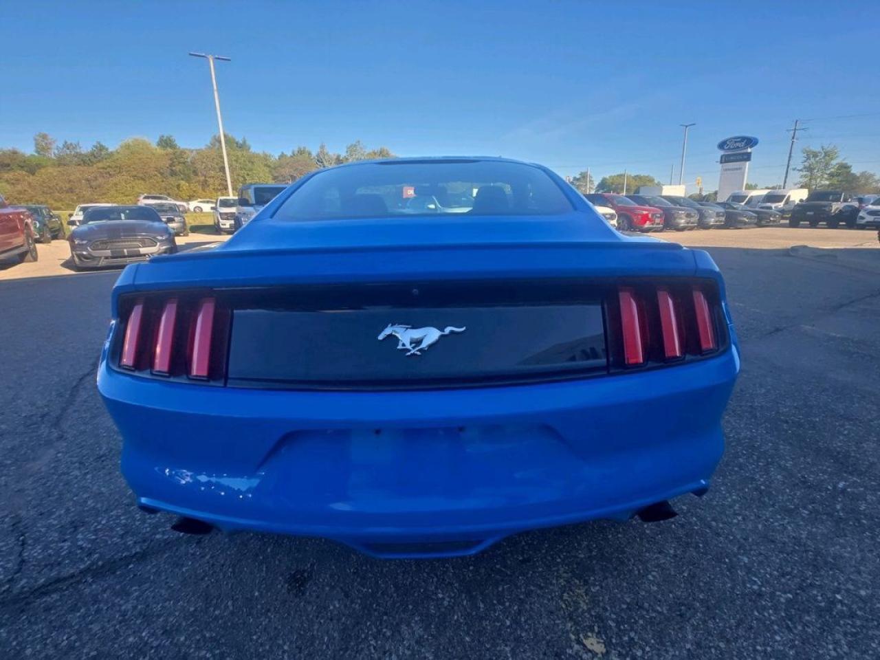 2017 Ford Mustang EcoBoost Photo