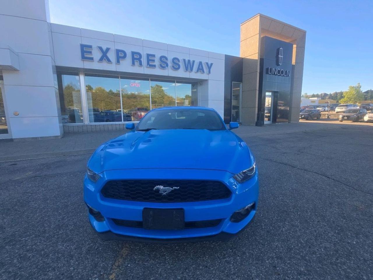 2017 Ford Mustang EcoBoost Photo